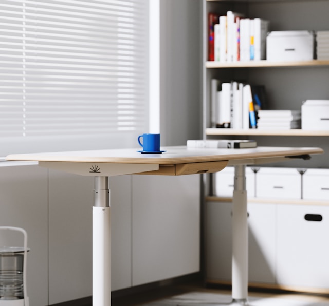 Ravellostrix galeria