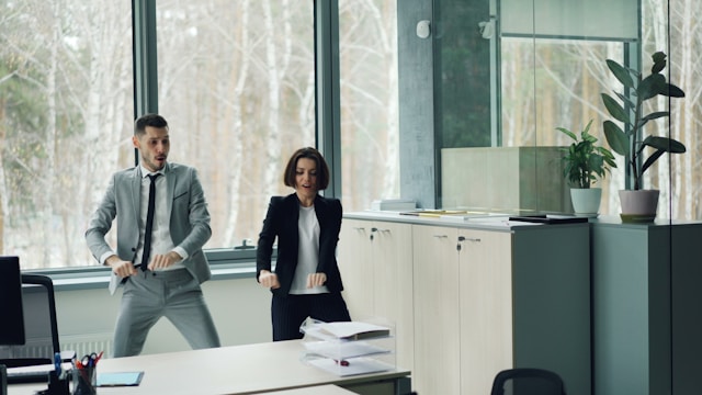 Ravellostrix projekt